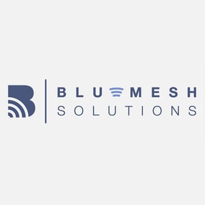 blue-mesh-solutions-1